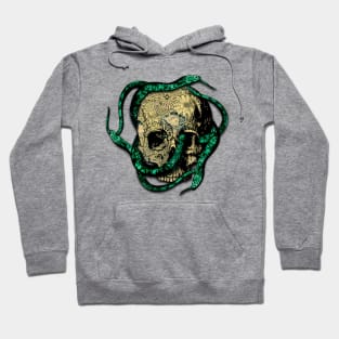 Snakes on the head Hoodie